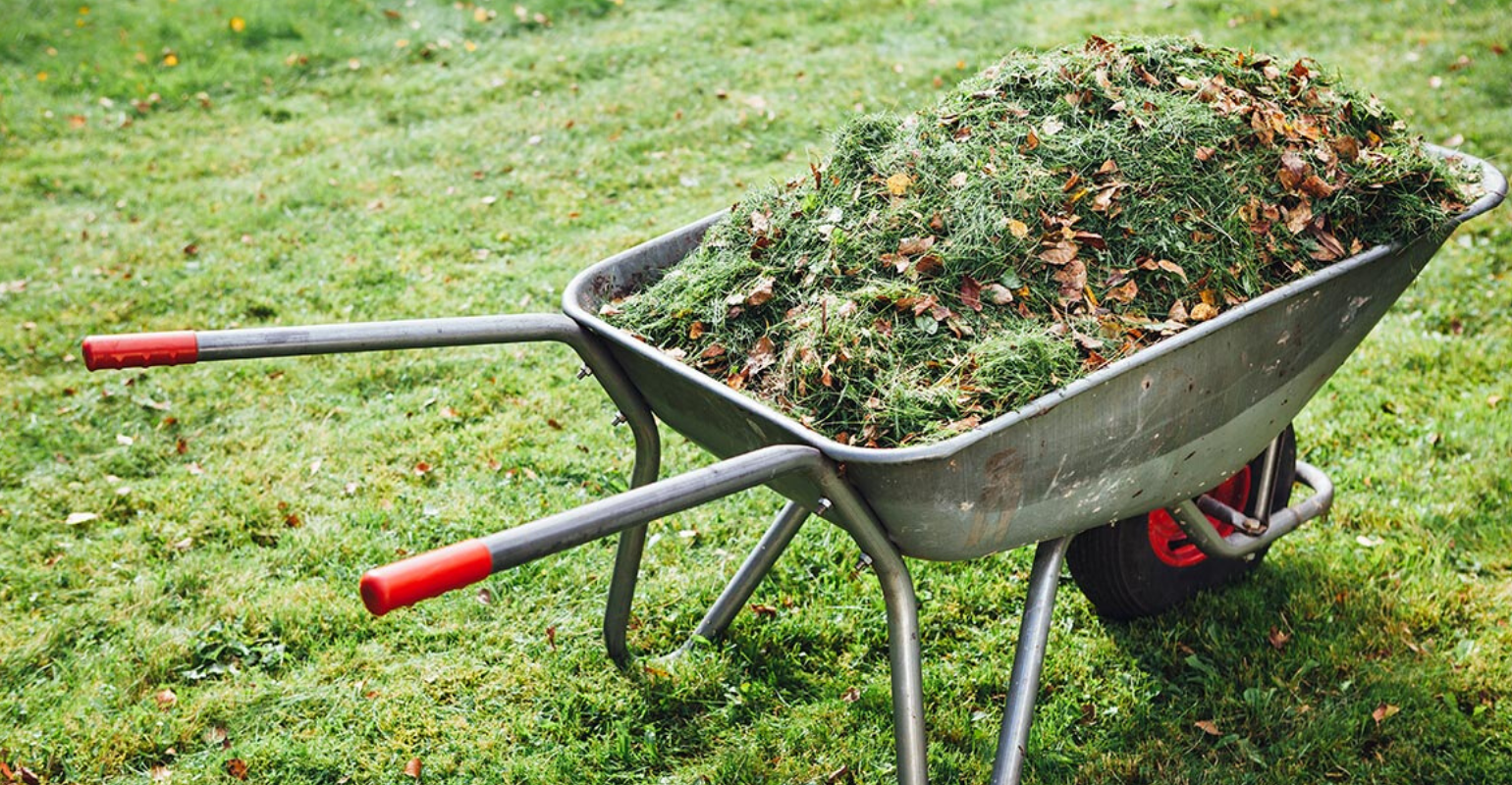 A metal wheelbarrow full of grass clippings and leaves on a lawn.